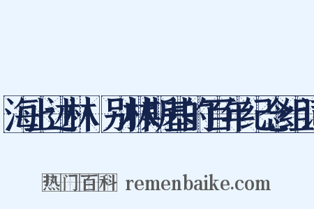 海上述林·别林斯基的百年纪念组词是什么意思的图片